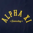 Alpha Xi Delta Arched Lettering Gametday Hoodie