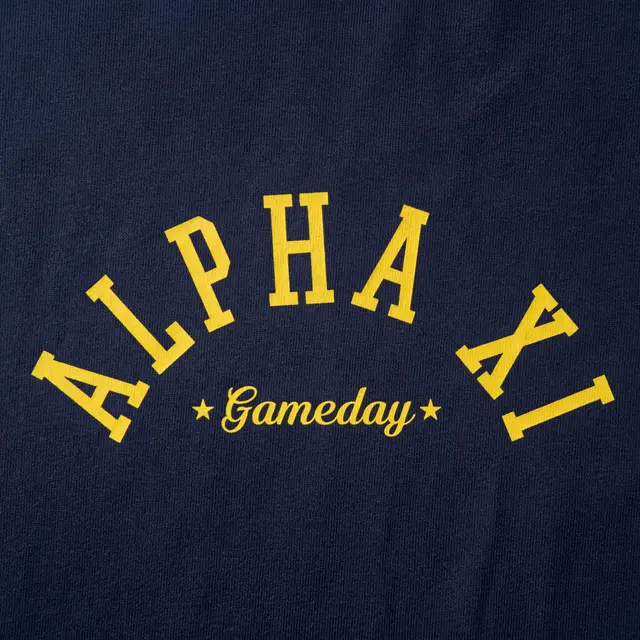 Alpha Xi Delta Arched Lettering Gametday Hoodie
