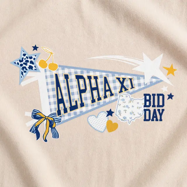 Alpha Xi Delta Patterned Pennant Stars Bow and Cherries in Blue and Yellow Bid Day Hoodie