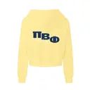 Pi Beta Phi Vertical Stripe Lettering PR Hoodie 2