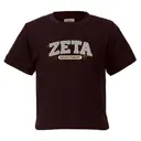 Zeta Tau Alpha Bold Block Letter Recruitment Shirt 2
