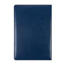 Flat lay for 20849-BLUE (Back)