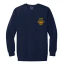 Alpha Epsilon Pi AEPI Crest and Football Game Day Crewneck 2
