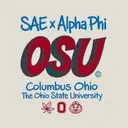 Alpha Phi Bold Block Lettering PR Hoodie