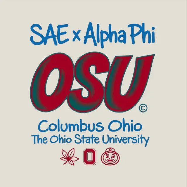 Alpha Phi Bold Block Lettering PR Hoodie