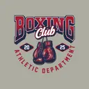 Boxing Club Bold Lettering Gloves PR Hoodie