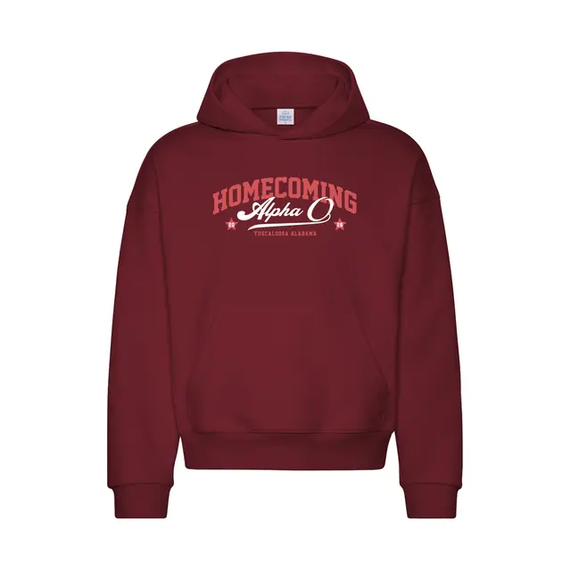 Alpha Omicron Pi Homecoming Block Lettering Script Hoodie 2