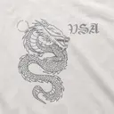 Vietnamese Student Association Dragon Art PR Shirt