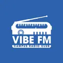 Campus Radio Club Vibe FM Radio Graphic PR Crewneck