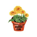 Garden Club Flower Pot Illustration PR Tank