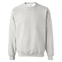 Gildan Adult Heavy Blend Adult 8 Oz. 50/50 Fleece Crew g180 Ash Front