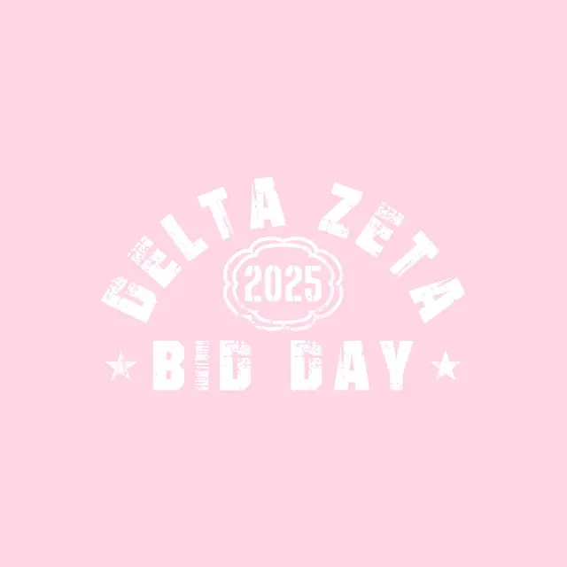 Delta Zeta Distressed Bold Texts and Stars Bid Day Hoodie