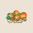 Alpha Chi Omega Citrus Art Parent's Weekend Crewneck