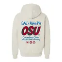 Alpha Phi Bold Block Lettering PR Hoodie 2
