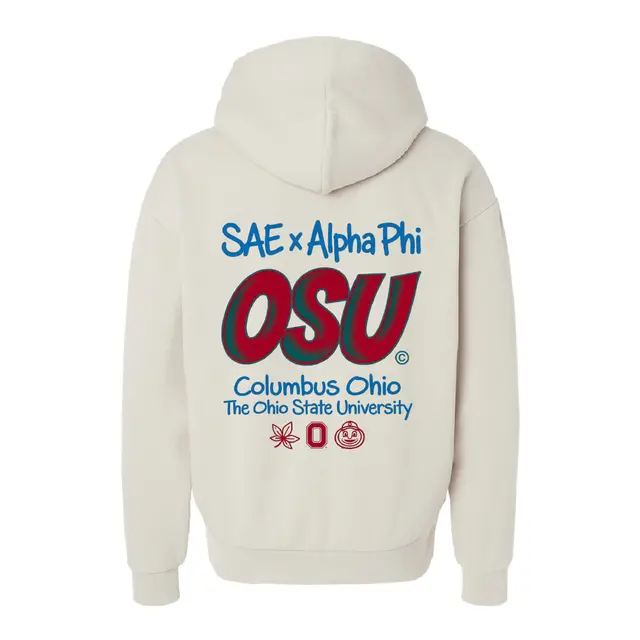Alpha Phi Bold Block Lettering PR Hoodie 2