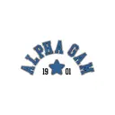Alpha Gamma Delta Arc Text Star Motif PR Shirt