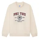 Phi Kappa Tau Vintage Football PR Crewneck 2