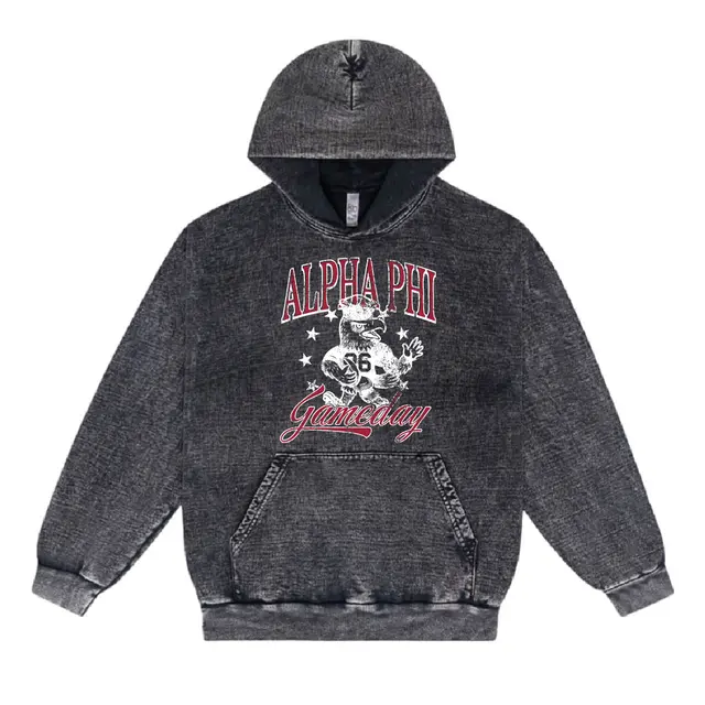 Alpha Phi Eagle Graphic Game Day Hoodie 2
