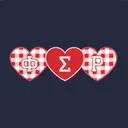 Phi Sigma Rho Heart Check Gingham PR Hoodie