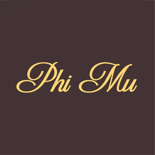 Phi Mu Script Font with Leopard Print PR Hoodie