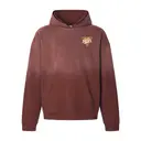Alpha Epsilon Pi Triangular Vintage Design PR Hoodie 2