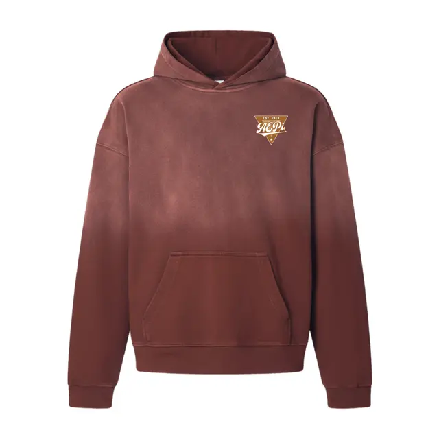 Alpha Epsilon Pi Triangular Vintage Design PR Hoodie 2