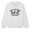 Sigma Alpha Epsilon Football Player Homecoming Hoodie 2