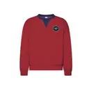 Alpha Epsilon Pi Floral Illustration PR Sweater 2