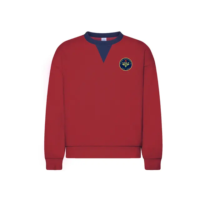 Alpha Epsilon Pi Floral Illustration PR Sweater 2