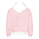 Fresh Prints Boston Graphic Heavyweight Hoodie Blush White Stripe Back