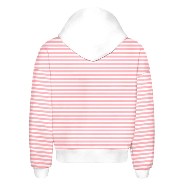 Fresh Prints Boston Graphic Heavyweight Hoodie Blush White Stripe Back