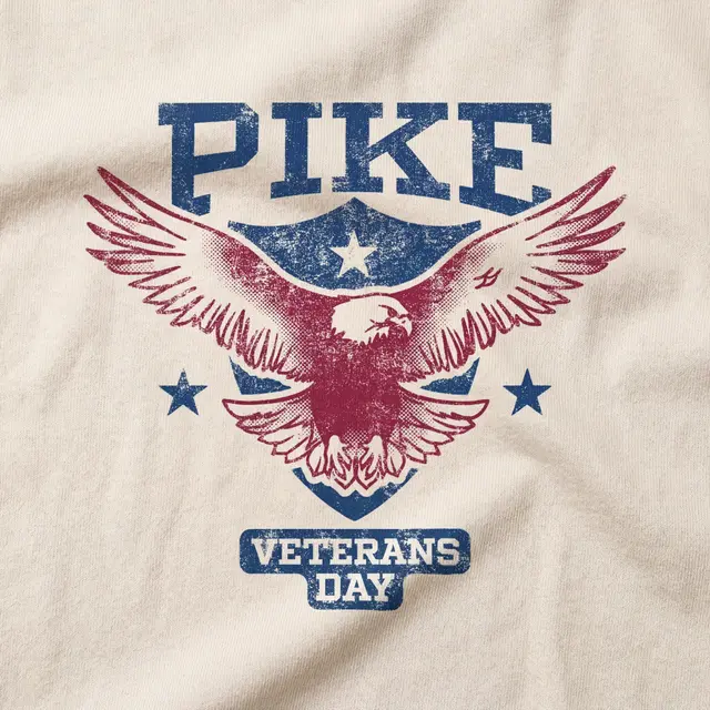 Pi Kappa Alpha Bold Eagle Shield Philanthropy Hoodie