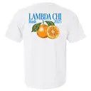 Lambda Chi Alpha Orange Illustration Rush Shirt 2