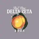 Delta Zeta Peach Illustration Bid Day Shirt