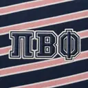 Pi Beta Phi Striped Pattern PR Shorts