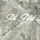 Pi Beta Phi Elegant Script with Camo PR Hoodie