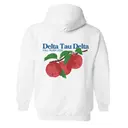 Delta Tau Delta Apple Graphic Rush Hoodie 2