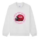 Zeta Tau Alpha Football Helmet Homecoming Sweater 2