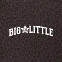 Kappa Alpha Theta Star Arch Big Little Reveal Hoodie