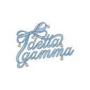 Delta Gamma Bow and Anchor Text PR Hoodie