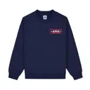 Alpha Phi Striped Text PR Sweater 2