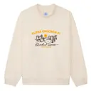 Alpha Omicron Pi Desert Scene Sisterhood Retreat Sweater 2