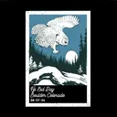 Phi Gamma Delta Owls in Flight Rush Shirt