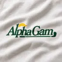 Alpha Gamma Delta Bold Lettering PR Tank