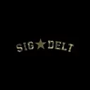 Sigma Delta Tau Camo Themed Stitched Varsity Text PR Shirt