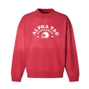 Alpha Sigma Tau Football Helmet Homecoming Sweater 2