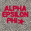 Alpha Epsilon Phi Red Block Text with Star PR Sweater