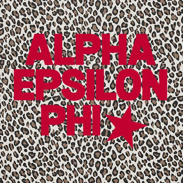 Alpha Epsilon Phi Red Block Text with Star PR Sweater