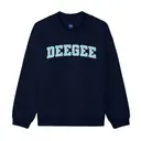 Delta Gamma Curved Text PR Hoodie 2