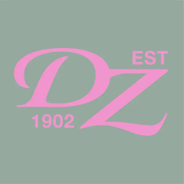 Delta Zeta Pastel Pink DZ Logo PR Shorts